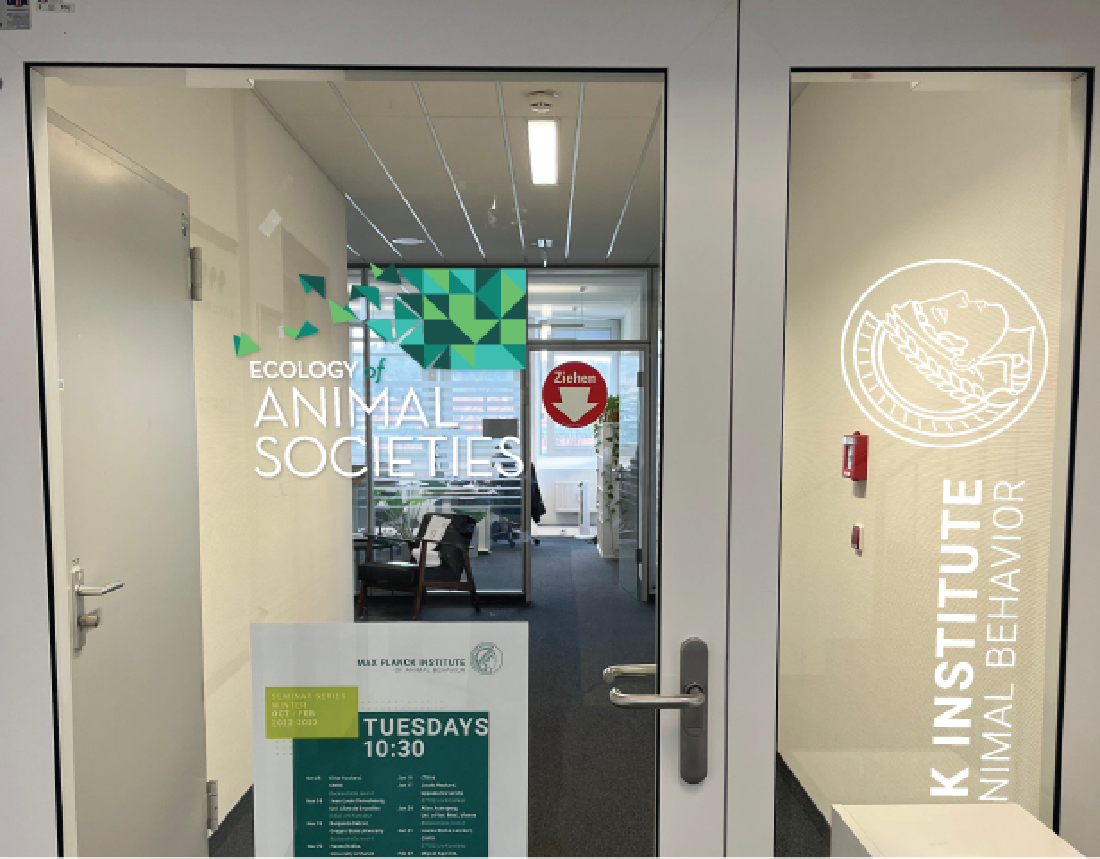 door graphics at the department