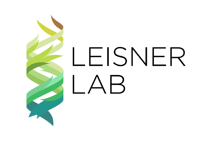 Leisner Lab logo