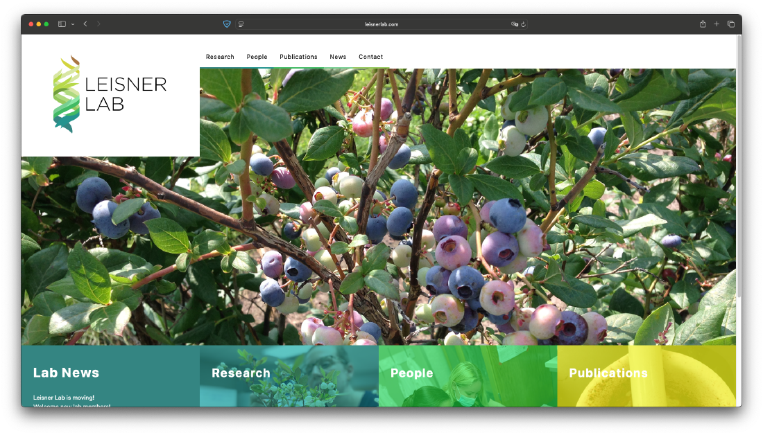 Leisner Lab website